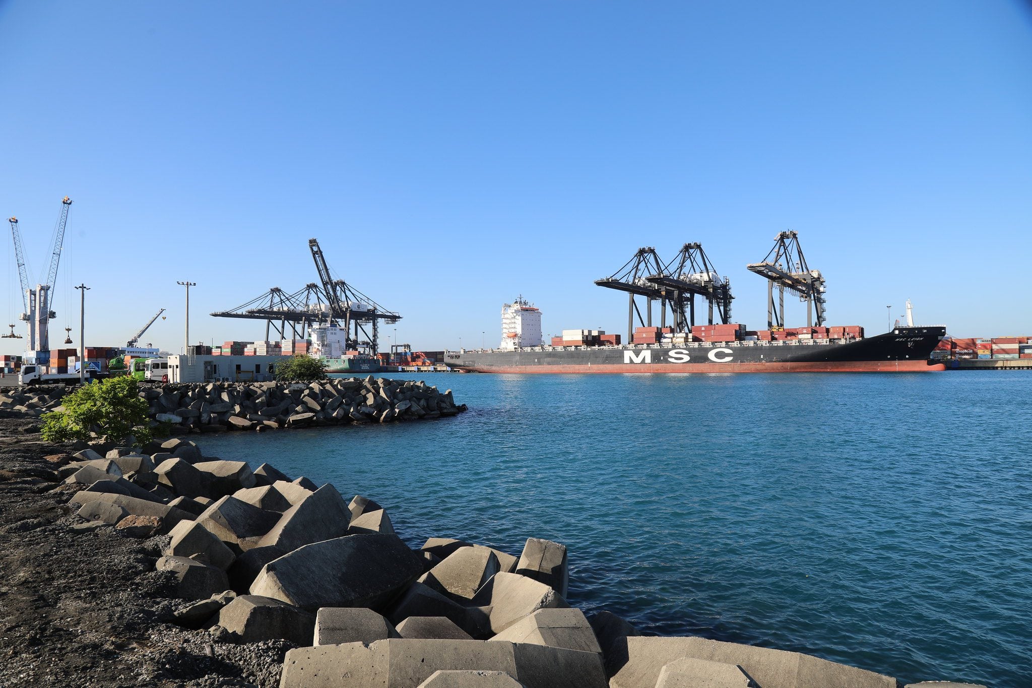 DP World Caucedo container terminal — the logistics spine of the AFG food system.